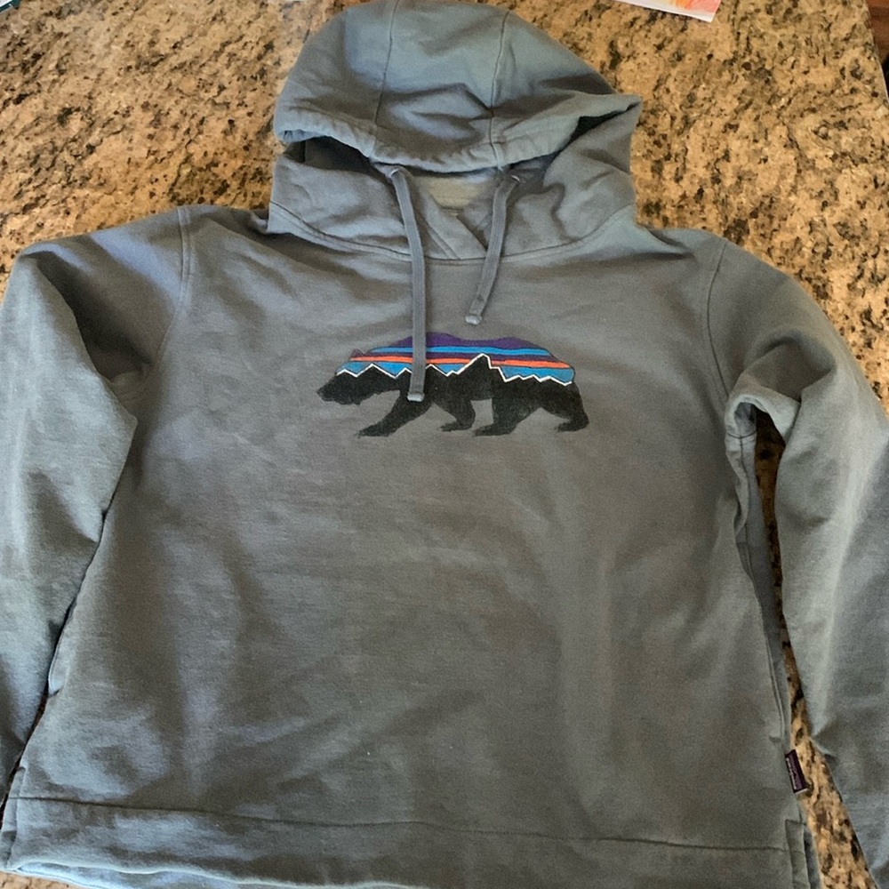 Patagonia hoodie